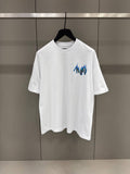 Amiri - AM021